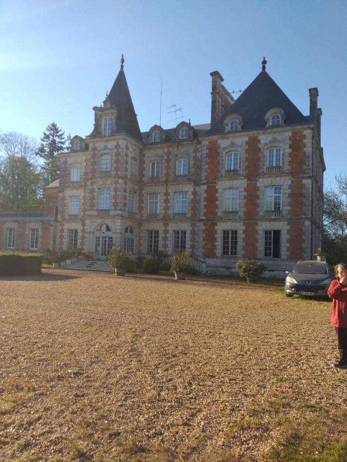 Chateau De Rocheux Freteval Екстериор снимка